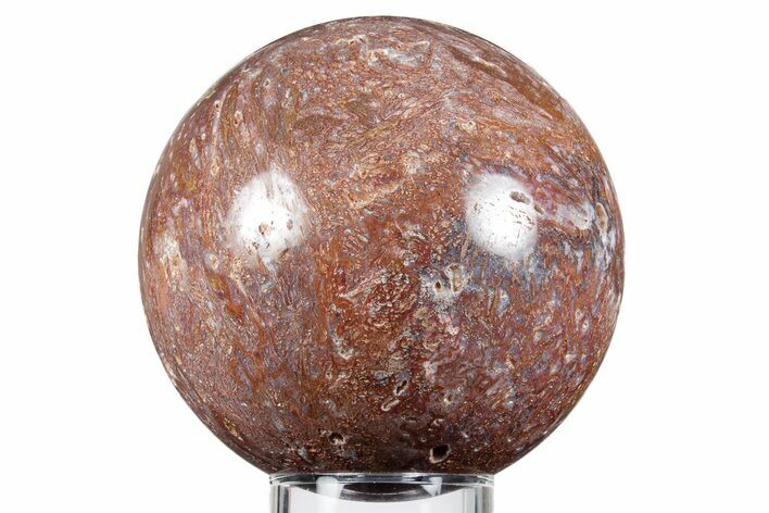 Polished Red Moss Agate Sphere #348921